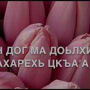 Аллах Дала Декъал Йойл Хьо Мама
