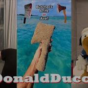 New Donaldducc Tiktok Reaction 2022 Best Donald Ducc Tiktoks 2022