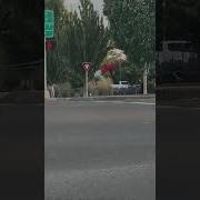 Когда Услышал Любимый Трек