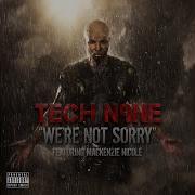 Tech N9Ne We Re Not Sorry Feat Mackenzie Nicole