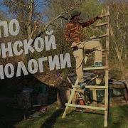 Простая Стремянка