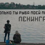 Ты Рыба Моей Мечты