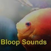 Bloop Sound Effect