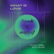Haddaway What Is Love Techno Remix Funk Tribu Edit