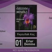 Erler Demine Feyzullah