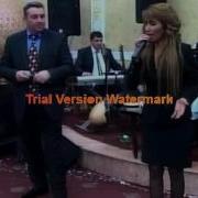 Ismayil Abasov Elnare Abdullayeva Şirvan Şikestesi