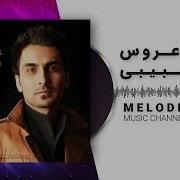 Amin Habibi Aroos Lyrics