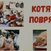 Мы Весёлые Котята