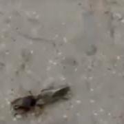 Секс Видео Русская Ебла С Разговорами Гей Доски Москва