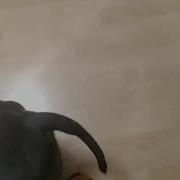 Караул Хулиганы Зрения Лишают