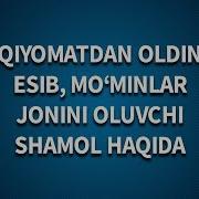 Qiyomatdan Oldin Esib Mo Minlar Jonini Oluvchi Shamol Haqida Shayx Sodiq Samarqandiy