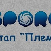 Кайфуем Сегодня Мы С Тобой Кайфуем Crazy Monkey Kaifuiem