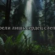 Анастасия Вишня Милость