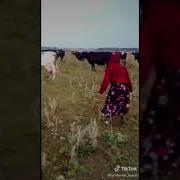 Рафаэль Хатыны