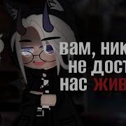 Вам Никогда Не Взять Нас Живыми