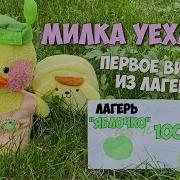 Милка Уже В Лагере Первое Видео Из Лагеря