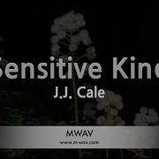 J J Cale Sensitive Kind Karaoke