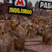 Мем Метро Люблино Работаем