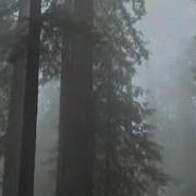 Кыргызча Рухий Ыр Тенирим Суйуу Булагы