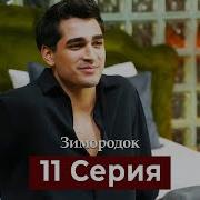 Зимородок 11 Серия