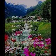 Инсон Ишлаш Учун Яралган