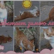 Под Стук Колес Комне Приходят Сны