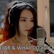 Bad Liar What Do You Mean Selena Gomez Justin Bieber Mashup Cover By J Fla