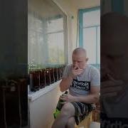 Алкаши Домашние В Мире Животных