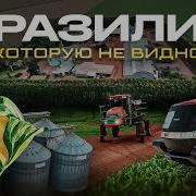Мы В Бразилий