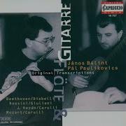 Variations On A Theme From C M Von Weber S Freischutz Variation 1