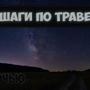 Звук Хождения По Траве