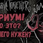 Атриум Что Это Как Попасть Для Чего Don T Starve Together