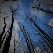 Прощай Земля Прощай Я К Богу Ухожу