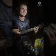 Я Бы Тебе Подарил Букет Полевых Цветов На Гитаре