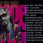 90S Rap Hip Hop 50 Cent 2 Pac Dmx Ice Cube Dr Dre Snoop Dogg The D O C And More