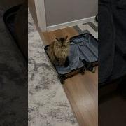 Работать Не Хочу Хочу На Море