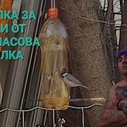 Хранилка За Птици От Пластмасова Бутилка А С М