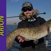 Обзор Спиннингов Crazy Fish Arion Универсалы Для Лайта И Ультралайта