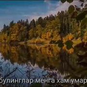 Фозил Кори Мавиза Хасана