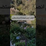 اللهم أنصر إخواننا المسلمين المستضعفين في كل مكان