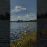 Дойдум Сылаас Тыына