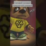 Дружок Соловей Мой Соловей