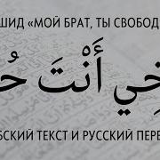 Мой Брат Ты Свободен