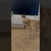 Быстро Ты Переобулся