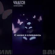 Nyan Mp3 Чудеса Слив