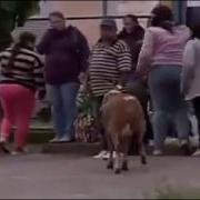 Samir Vida Senin Ucun Yeni Version Mp4 Mutleq Izle
