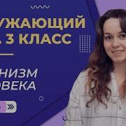 Организм Человека 3 Класс Окружающий Мир