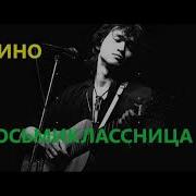 Восьмиклассница Задом Наперед
