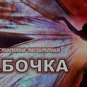 Бабочка Ночь Караоке