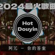 中文Dj2024